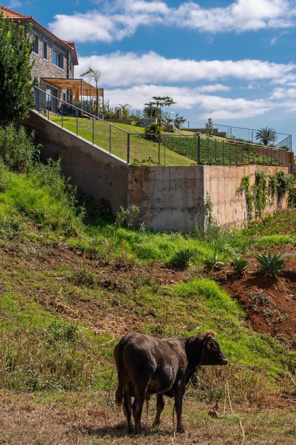 Villa Flora - Nature & Tranquility - Heated Pool Optional Jardim do Mar Exterior foto